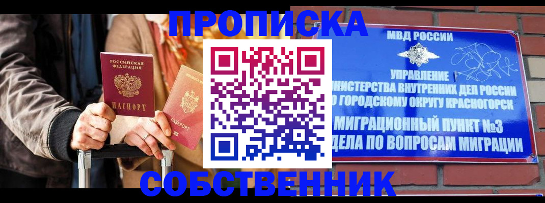 прописка для школы в Мытищах